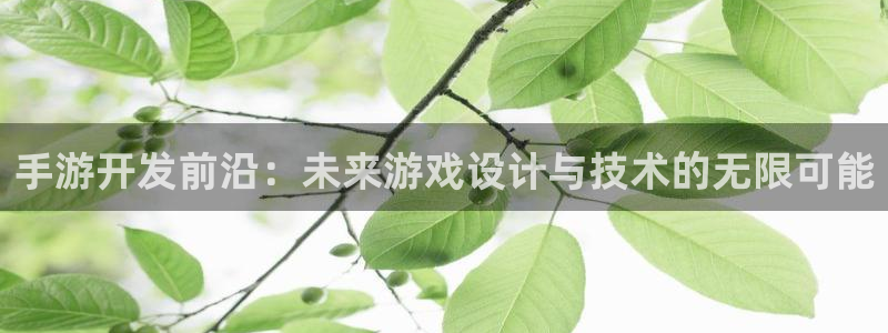V8娱乐
