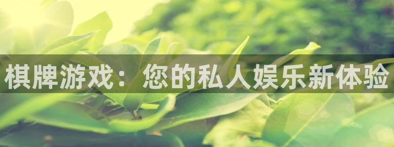 V8娱乐网：棋牌游戏：您的私人娱乐新体验