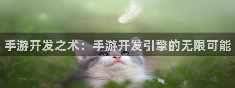 V8娱乐：手游开发之术：手游开发引擎的无限可能