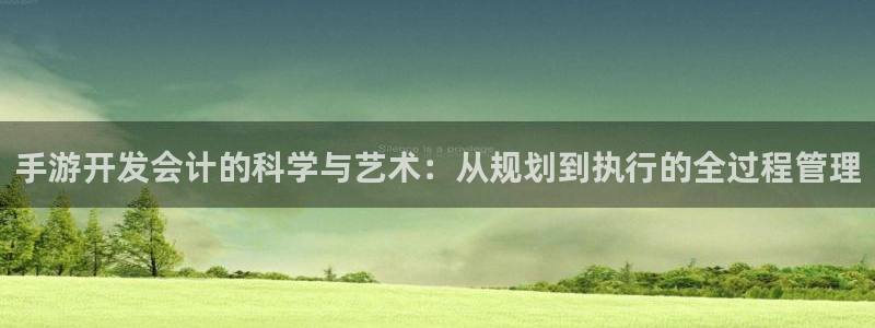 V8娱乐注册：手游开发会计的科学与艺术：从规划到执行的全过程