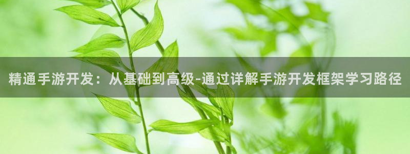 V8娱乐：精通手游开发：从基础到高级-通过详解手游开发框架学