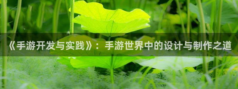 V8娱乐：《手游开发与实践》：手游世界中的设计与制作之道