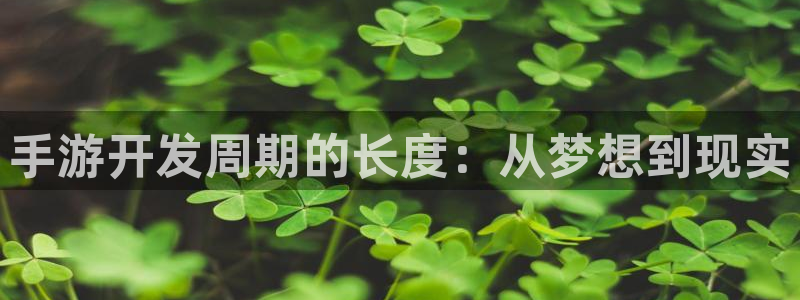 V8娱乐平台：手游开发周期的长度：从梦想到现实