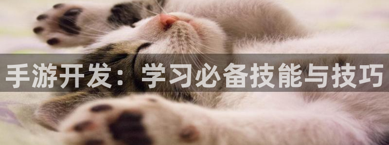 V8娱乐登录：手游开发：学习必备技能与技巧