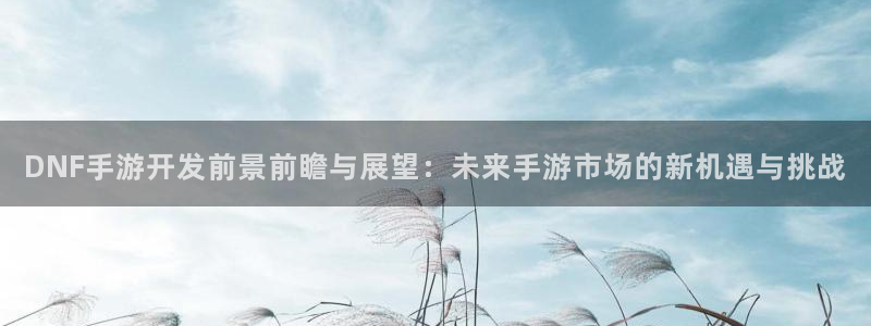 V8娱乐注册：DNF手游开发前景前瞻与展望：未来手游市场的新