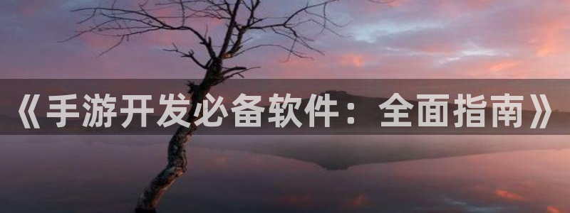 V8娱乐平台：《手游开发必备软件：全面指南》