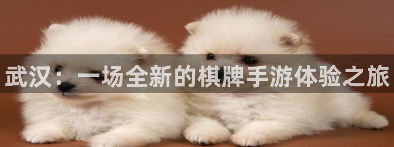 V8娱乐注册：武汉：一场全新的棋牌手游体验之旅