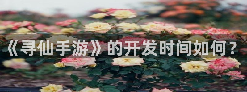 V8娱乐平台：《寻仙手游》的开发时间如何？
