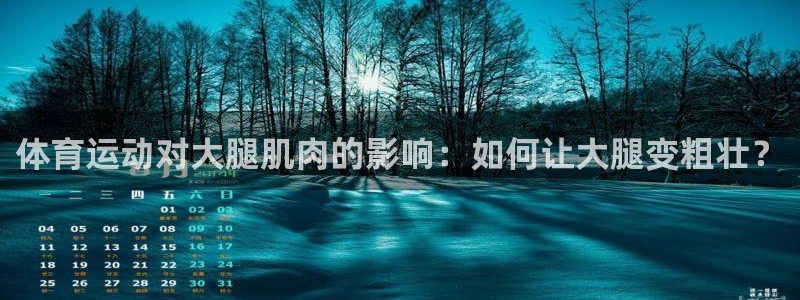 三亿体育网页版
