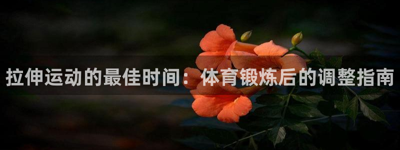三亿体育登录