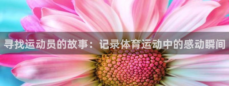 三亿体育网页版