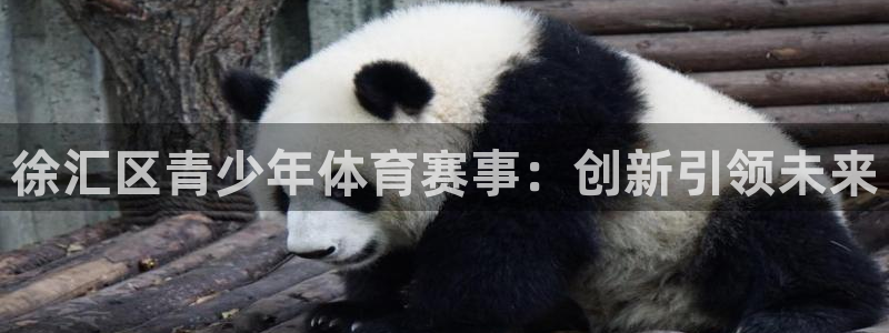三亿体育网